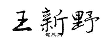 曾庆福王新野行书个性签名怎么写