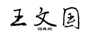 曾庆福王文国行书个性签名怎么写