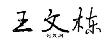 曾庆福王文栋行书个性签名怎么写