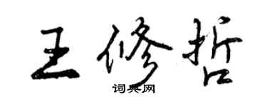 曾庆福王修哲行书个性签名怎么写