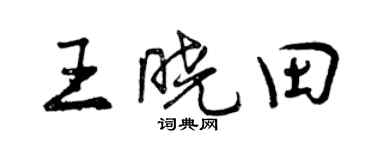 曾庆福王晓田行书个性签名怎么写