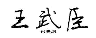 曾庆福王武臣行书个性签名怎么写