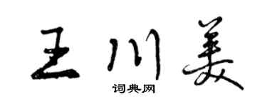 曾庆福王川美行书个性签名怎么写