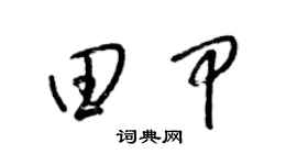 梁锦英田甲草书个性签名怎么写