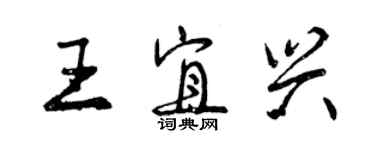 曾庆福王宜兴行书个性签名怎么写