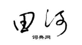 梁锦英田河草书个性签名怎么写