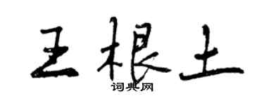 曾庆福王根土行书个性签名怎么写