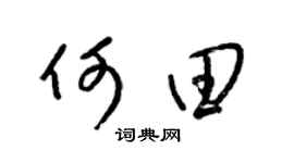 梁锦英何田草书个性签名怎么写