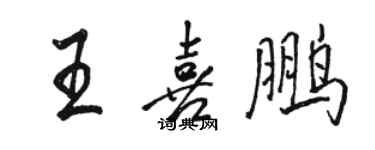 骆恒光王喜鹏行书个性签名怎么写