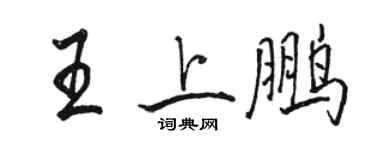骆恒光王上鹏行书个性签名怎么写