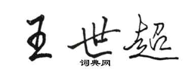 骆恒光王世超行书个性签名怎么写