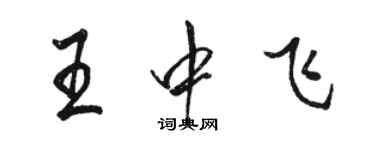 骆恒光王中飞行书个性签名怎么写