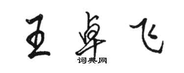 骆恒光王卓飞行书个性签名怎么写