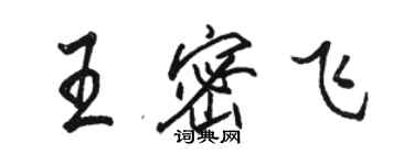 骆恒光王密飞行书个性签名怎么写