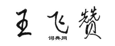 骆恒光王飞赞行书个性签名怎么写
