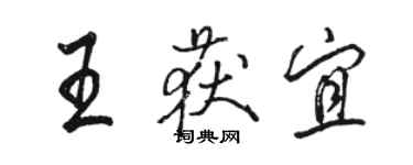骆恒光王获宜行书个性签名怎么写
