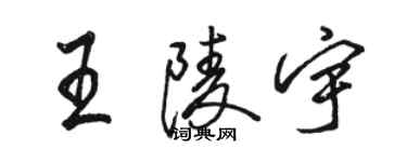 骆恒光王陵宇行书个性签名怎么写