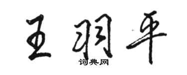 骆恒光王羽平行书个性签名怎么写
