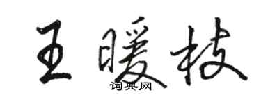 骆恒光王暖枝行书个性签名怎么写