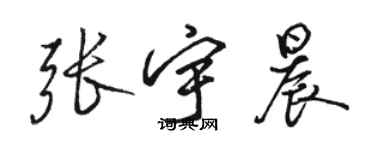 骆恒光张宇晨行书个性签名怎么写