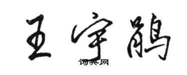 骆恒光王宇鹃行书个性签名怎么写