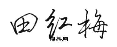 骆恒光田红梅行书个性签名怎么写