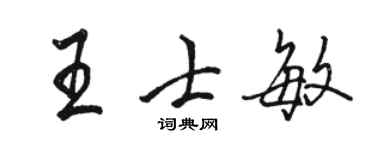 骆恒光王士敏行书个性签名怎么写