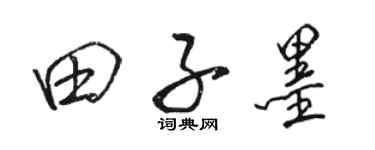 骆恒光田子墨行书个性签名怎么写