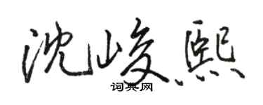 骆恒光沈峻熙行书个性签名怎么写