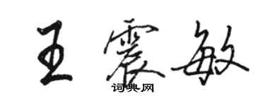 骆恒光王震敏行书个性签名怎么写