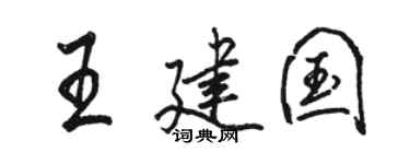 骆恒光王建国行书个性签名怎么写