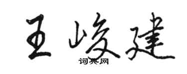 骆恒光王峻建行书个性签名怎么写