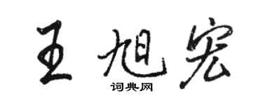 骆恒光王旭宏行书个性签名怎么写