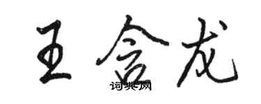 骆恒光王含龙行书个性签名怎么写