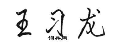 骆恒光王习龙行书个性签名怎么写