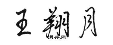骆恒光王翔月行书个性签名怎么写