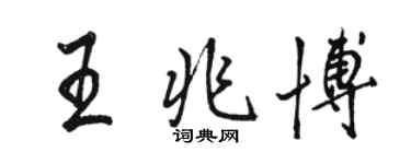 骆恒光王兆博行书个性签名怎么写
