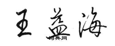 骆恒光王益海行书个性签名怎么写