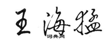 骆恒光王海猛行书个性签名怎么写