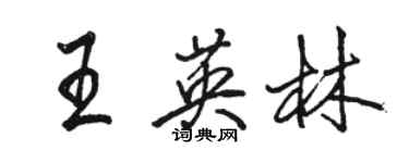 骆恒光王英林行书个性签名怎么写