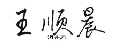 骆恒光王顺晨行书个性签名怎么写