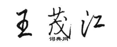 骆恒光王茂江行书个性签名怎么写