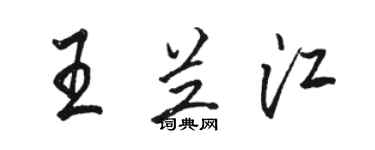 骆恒光王兰江行书个性签名怎么写