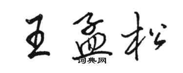 骆恒光王孟松行书个性签名怎么写