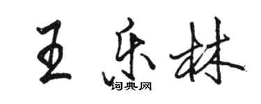 骆恒光王乐林行书个性签名怎么写