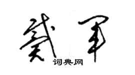 梁锦英戴军草书个性签名怎么写
