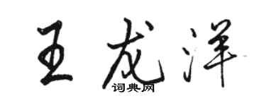 骆恒光王龙洋行书个性签名怎么写