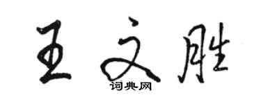 骆恒光王文胜行书个性签名怎么写