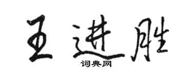 骆恒光王进胜行书个性签名怎么写