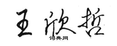 骆恒光王欣哲行书个性签名怎么写